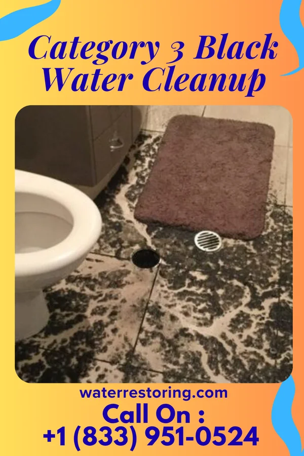 Category 3 Black Water Cleanup in Ridgeland, MS