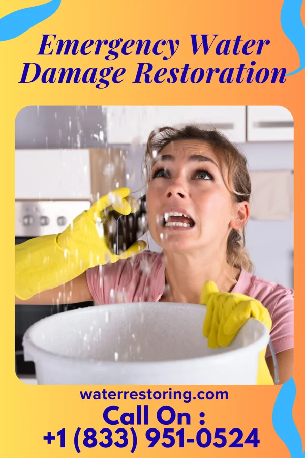 Emergency Water Damage Restoration in Ridgeland, MS
