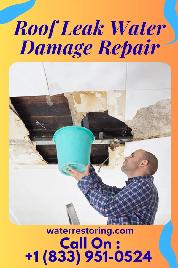 Roof Leak Water Damage Repair in Ridgeland, MS